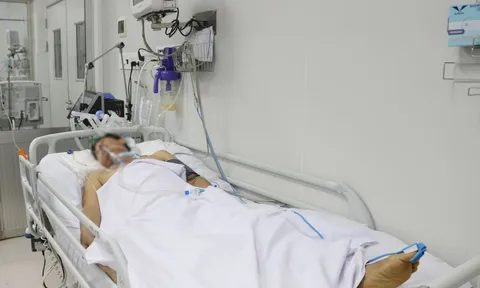 Công ty sản xuất pate Minh Chay sẽ phải bồi thường và đối diện mức phạt nào?