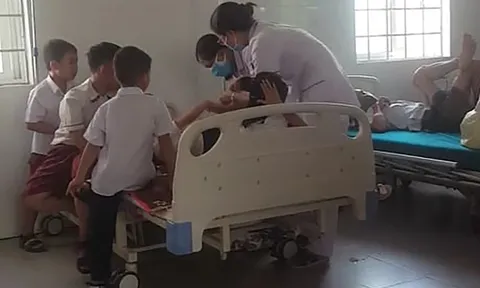 26 học sinh tiểu học nhập viện cấp cứu vì bị ong đốt