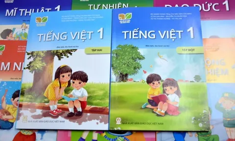 Bộ GD&ĐT yêu cầu thanh tra sách giáo khoa, tài liệu tham khảo