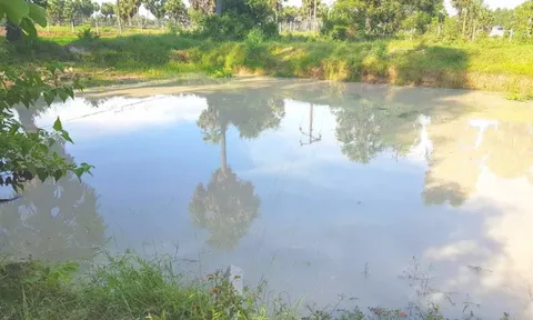 An Giang: Rủ nhau tắm ở hồ sau vườn, 5 em nhỏ đuối nước tử vong