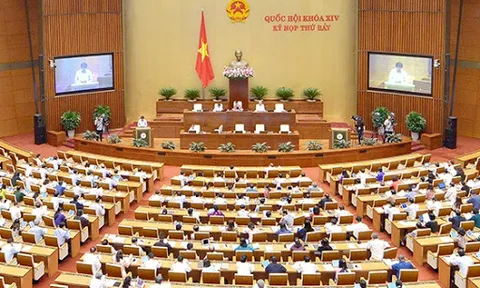 7 tiêu chuẩn của đại biểu Quốc hội từ 01/01/2021