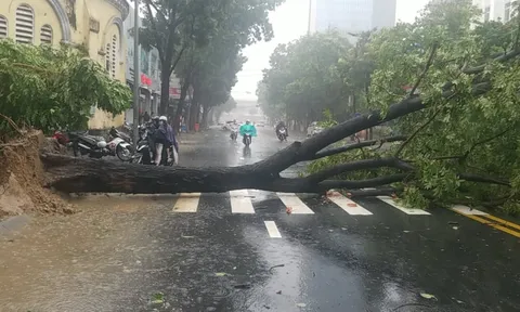Bão số 5 đã vào đất liền các tỉnh Quảng Trị - Thừa Thiên Huế