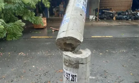 Điện lực Đà Nẵng lên tiếng về vụ cột điện không lõi sắt bị gãy do ảnh hưởng bão số 5