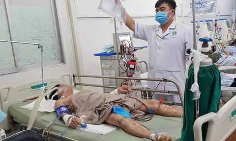 Người đàn ông bị hôn mê, liệt toàn thân sau khi ăn cá mặt thỏ