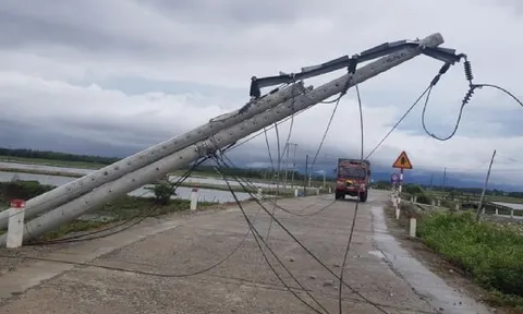 Ngành điện nói gì về hơn 616 cột điện bị gãy, đổ và nghiêng?