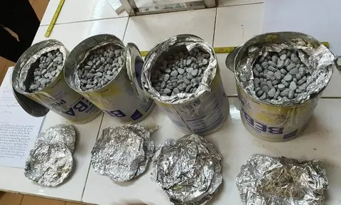 Triệt phá đường dây vận chuyển 20.000 viên ma túy trong hộp sữa bột