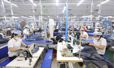 Giảm thuế thu nhập doanh nghiệp phải nộp năm 2020