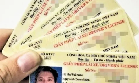 Phát hiện nhiều website tra cứu thông tin Giấy phép lái xe giả mạo
