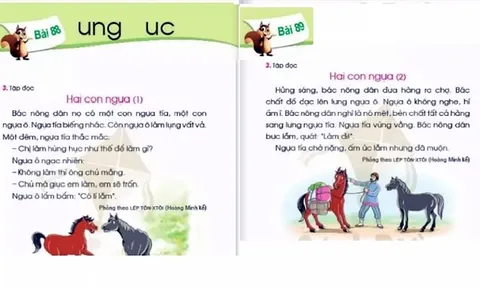 Khi sách giáo khoa lạm dụng sự vay mượn