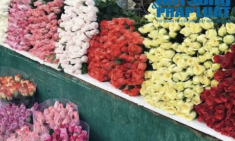 Cận ngày 20/10, giá hoa tươi tăng 'chóng mặt' vì khan hàng