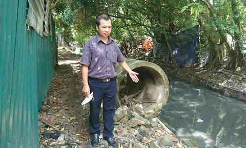 Hà Nội: Cần làm rõ việc chiếm đất, hủy hoại công trình thủy lợi