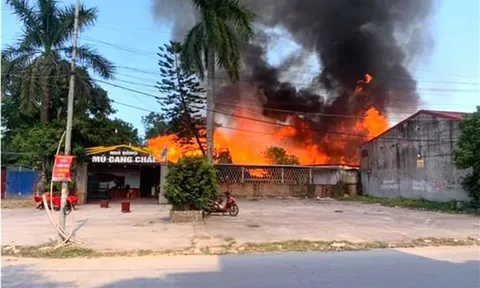 Hải Phòng: Người dân đốt cỏ, 2 nhà hàng bị thiêu rụi