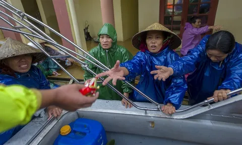 Quảng Trị bác bỏ thông tin 'cán bộ chia lương khô làm quà'