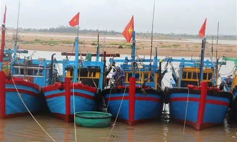 Các tỉnh, thành phố từ Thừa Thiên-Huế đến Ninh Thuận chủ động ứng phó với bão số 9