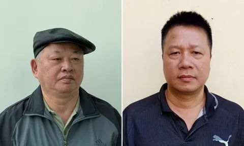 Bắt tạm giam Chủ tịch Công ty CP Tập đoàn Đại Nam