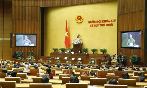 Ngày 11/11, Quốc hội tiến hành công tác nhân sự và thông qua Nghị quyết về kế hoạch phát triển KT-XH năm 2021