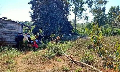 Phát hiện thi thể nhân viên ngân hàng chết cháy trong nhà hoang