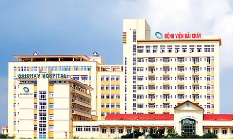 Quảng Ninh: Người đàn ông dùng dao chém vợ con và người nhà rồi nhảy lầu tự sát