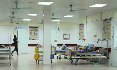 Bắc Ninh: 157 người ngộ độc sau khi ăn cỗ khánh thành chùa