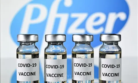 Cơ quan dược phẩm châu Âu xem xét nhiều ứng cử viên vaccine COVID-19 tiềm năng