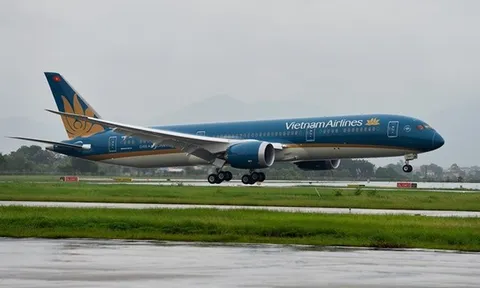 Vietnam Airlines xem xét sa thải tiếp viên hàng không vi phạm cách ly