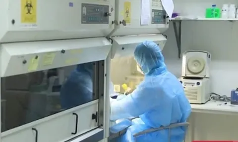 TP.HCM: Tất cả các mẫu xét nghiệm F1 đã có kết quả âm tính