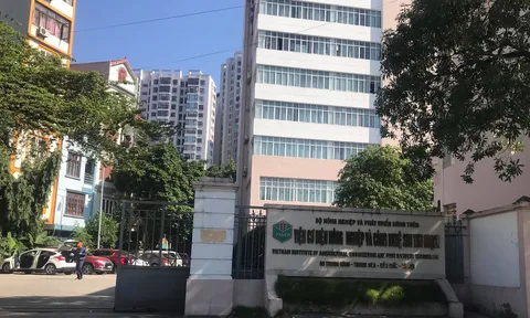 Viện Cơ điện Nông nghiệp và Công nghệ sau thu hoạch cho thuê đất trái phép