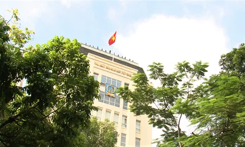 Sách giáo khoa ngập 'sạn': Khi 'lão làng' còn ngây thơ đến ngớ ngẩn