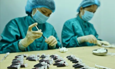 Việt Nam sẽ thử nghiệm giai đoạn 1 vắc xin COVID-19 trên những người tự nguyện hoàn toàn