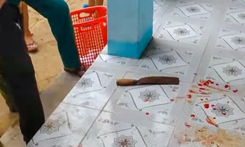 Khánh Hoà: Nữ giáo viên dùng dao tấn công đồng nghiệp