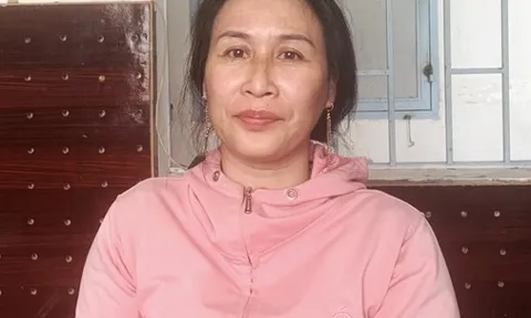 Bắt tạm giam đối tượng Lê Thị Bình, thu giữ nhiều tài liệu chống phá Nhà nước