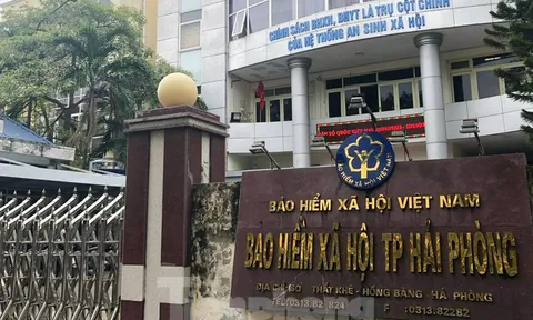 Nữ Giám đốc Bảo hiểm xã hội ở Hải Phòng bị cách chức