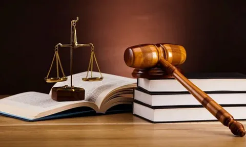 Những chính sách mới nổi bật có hiệu lực từ tháng 1/2020
