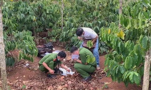 Lời khai của nghi can sát hại, phi tang thi thể ngươi đàn bà trong rẫy cà phê