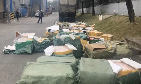 Siêu thị Mega Market lên tiếng vụ phát hiện xe chở lưỡi vịt, nầm lợn không rõ nguồn gốc