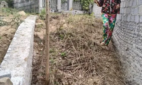Chuyện lạ chính quyền 'thỏa hiệp' với sai phạm ở Thanh Hóa