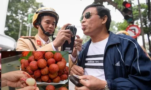Bộ GTVT lên tiếng về thông tin ăn trái cây có nồng độ cồn cũng bị xử phạt