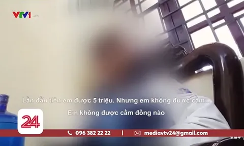 Chủ tịch UBND thành phố Hà Nội chỉ đạo làm rõ thông tin đường dây mua bán trinh trẻ em