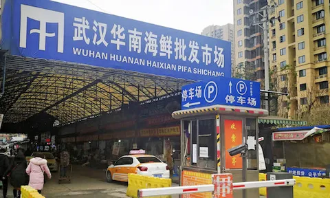 Nhật Bản ghi nhận ca nhiễm viêm phổi Vũ Hán đầu tiên