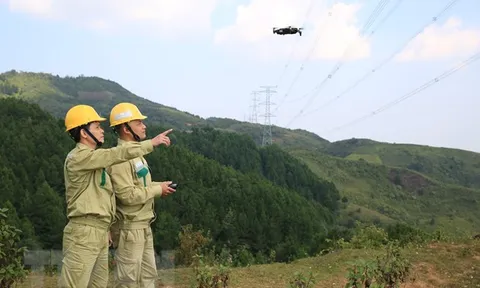 Chính phủ yêu cầu tăng cường quản lý chặt chẽ tàu bay không người lái