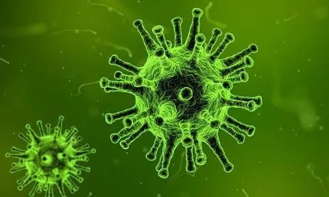 Trung Quốc xác nhận thông tin mới gây bất ngờ về virus corona