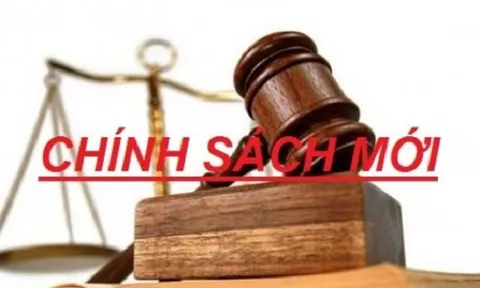 Những chính sách mới nổi bật có hiệu lực từ tháng 2/2020