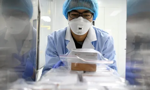 Phát hiện virus corona tiến hóa khi lây từ người sang người tại ổ dịch ở Trung Quốc