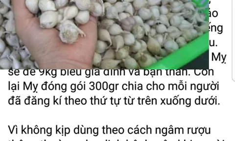 Sự thật về cách tiêu diệt virus corona nhờ tỏi cô đơn Lý Sơn đang lan truyền