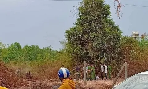 Người dân đi cắt cỏ phát hiện bộ xương người ở khu đất trống