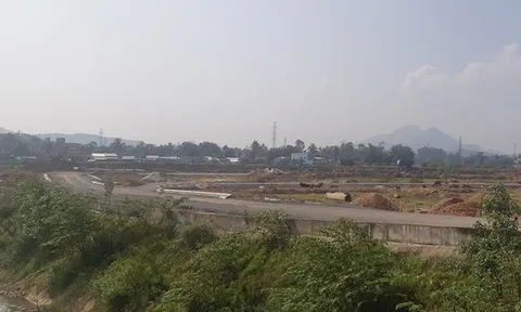 Bắt nguyên tổng giám đốc Công ty xây lắp và kinh doanh nhà Đà Nẵng