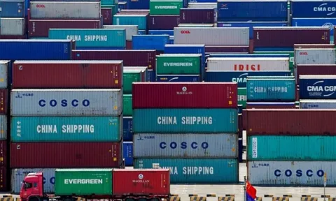 Hàng nghìn container thịt đông lạnh ùn ứ tại các cảng Trung Quốc
