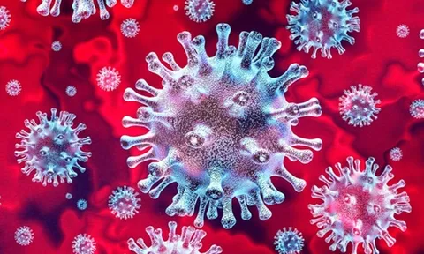 Virus corona gây bệnh Covid-19 có tên mới là SARS-CoV-2