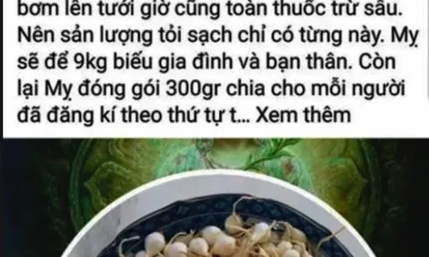 Facebooker Lương Hoàng Anh bị xử phạt 12,5 triệu đồng vì tung tin thất thiệt về tỏi Lý Sơn