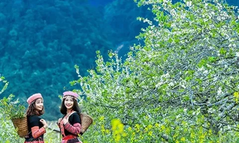 Những địa điểm 'hẹn hò' lý tưởng cho ngày mùng 8/3 thêm ý nghĩa